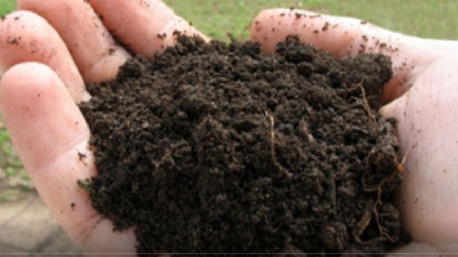 БИОГУМУС лучшее удобрение! смотреть онлайн