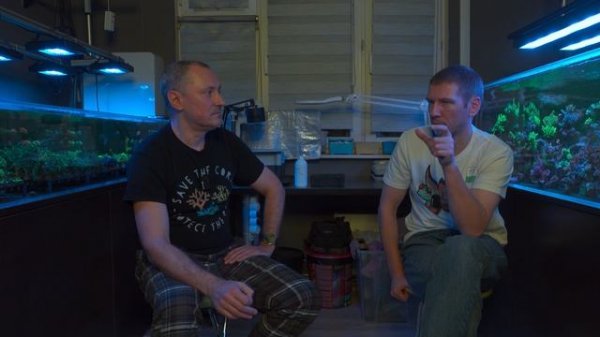 Алексей S Вопросы по содержанию SPS рифа