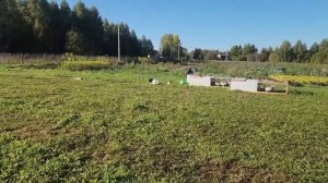 Ep.318 Morning Farm Chores (Russian Subtitles)