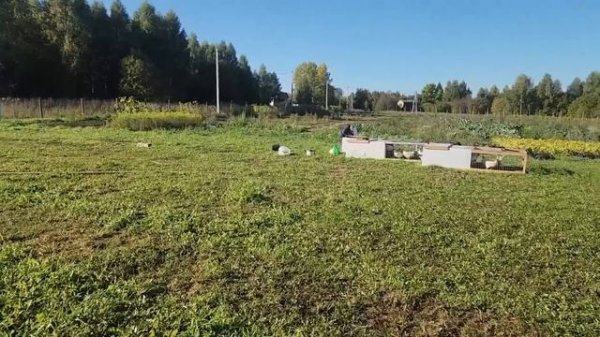 Ep.318 Morning Farm Chores (Russian Subtitles)