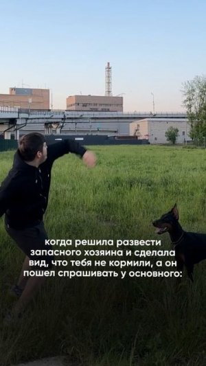 Что-то пошло не так, но что?