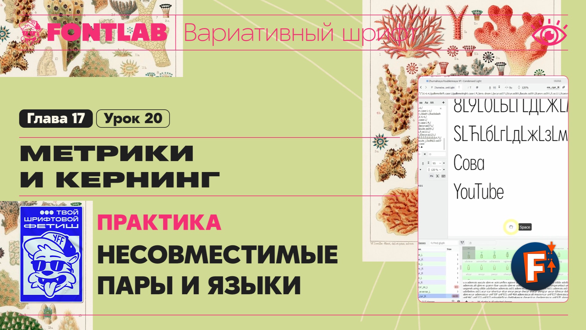 ДВШ 17-20 Кернинг – Практика – Несовместимые пары и языки – Урок Fontlab