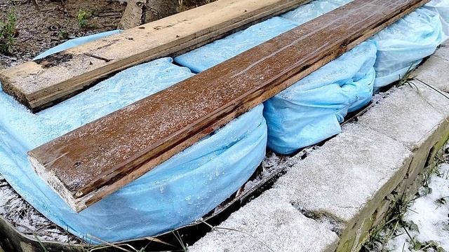 Сеянцы Прострела - как я их укрыла на первую зиму 2025 смотреть онлайн