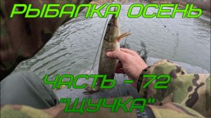 Рыбалка Осень. Часть - 72."Щучка".