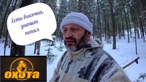 ОХОТА НА ЛОСЯ. СЕЗОН 2025