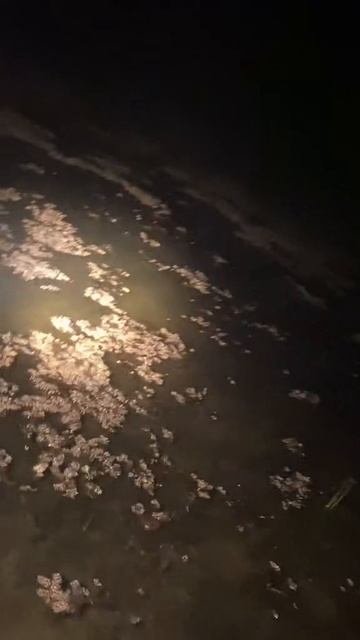 острогой.mp4 смотреть онлайн