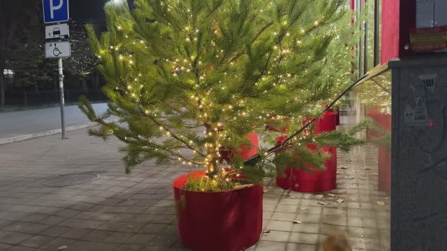 Практическая работа №7 "WALLDO" Шевелева смотреть онлайн