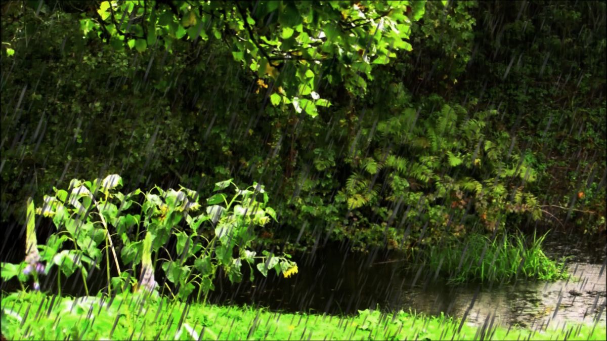 Дождь. Как же он надоел за это лето... смотреть онлайн