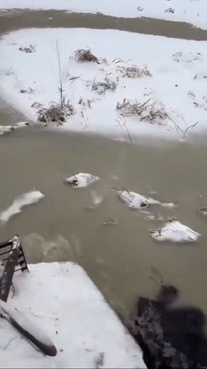 Видео от МЭН - Мне Это Нравится