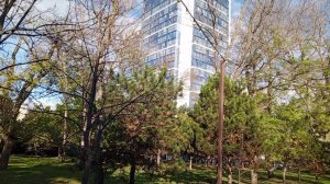 #АНАПА В ДЕКАБРЕ «jimmvista»