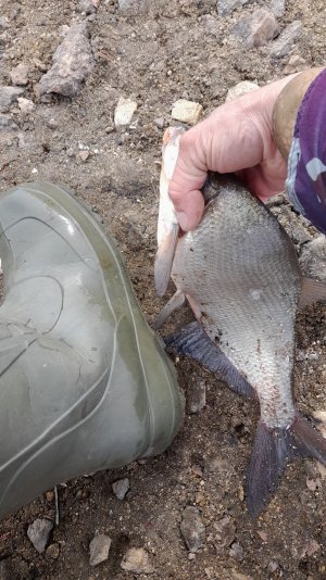 Рыбалка на Рефтинском. Воспоминание о Лете! 2025 год