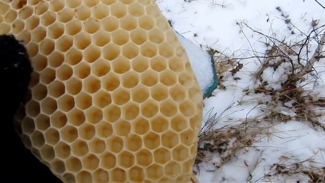 ДЛЯ ЛЮБИТЕЛЕЙ МЁДА...