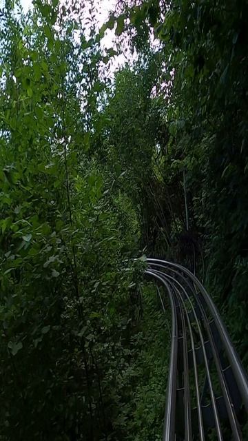 Тобоган в Яхроме! Летим на полной скорости