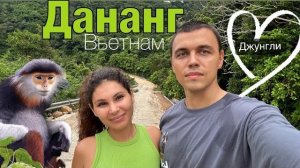 Вьетнам 2025 | Дананг | Джунгли Вьетнама | Красный Дук Лангур | Полуостров Сон Тра #вьетнам Нячанг