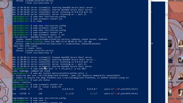 Выполнение лабораторной работы №11. (Тема 6) Трифонова Алина НПИ-02-23