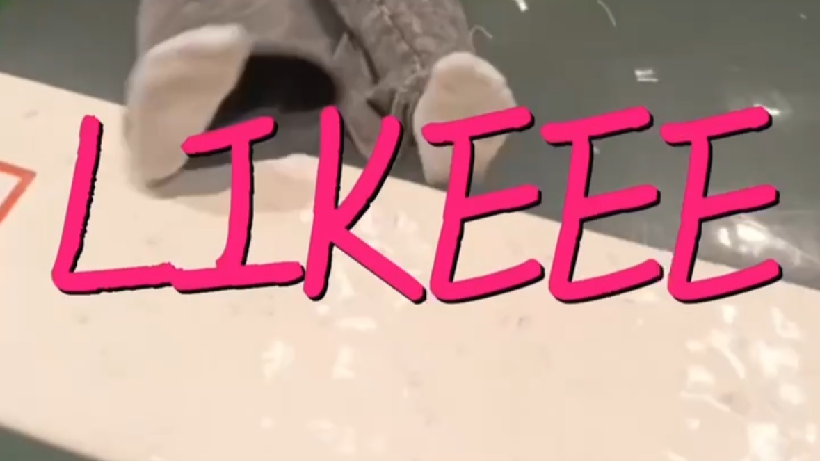 Likeee смотреть онлайн
