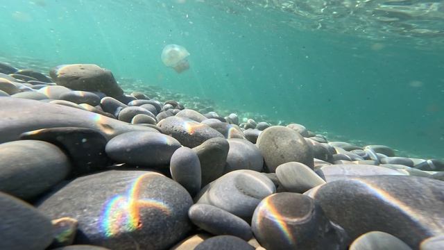 лазаревское,сочи, медуза смотреть онлайн