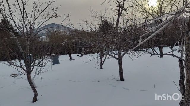 ,, Садовые сновидения,, смотреть онлайн