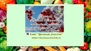 Лунный посевной календарь садоводов и огородников на январь 2026 года