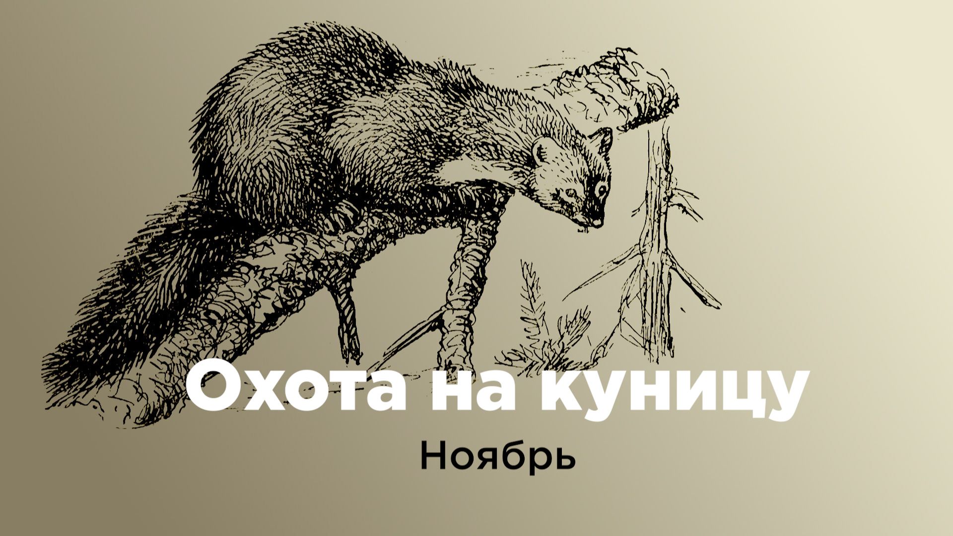 Охота на куницу. Ноябрь