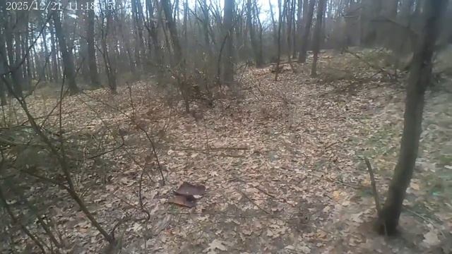 парк нововоронеже