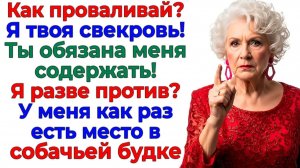 Обязана меня кормить! Орала свекровь — Накормила ее собачьим кормом! | Истории Из Жизни