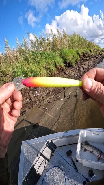 ФИШ какой -то!!! смотреть онлайн