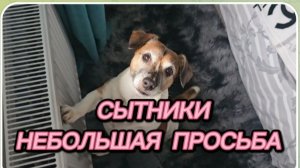 САМВЕЛ АДАМЯН, СЫТНИКИ, НЕБОЛЬШАЯ ПРОСЬБА..