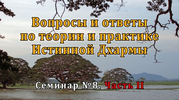 Вопросы и ответы по теории и практике Истинной Дхармы. Семинар №8. Часть II