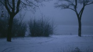 Песня-новый год новый год ёлка шарики хлопушки