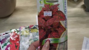 ОБЗОР СЕМЯН НА СЕЗОН 2026