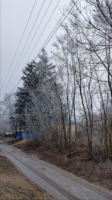 Когда же снег? 21.12.2025. смотреть онлайн