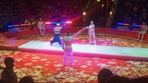 Нижегородский цирк имени Назаровой представление "Маска"