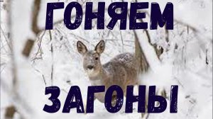 Особенности Национальной Охоты. Сибирский вариант.