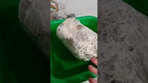 КАК ПРОДЛИТЬ ЖИЗНЬ ВЕШЕНКИ В БЛОКАХ