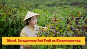 Dianxi Xiaoge. Китай. Загадочные Red Fruit из Юньинских гор.