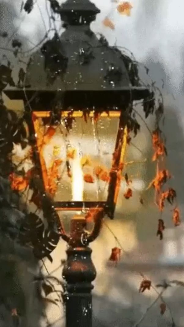 Умные мысли ... смотреть онлайн