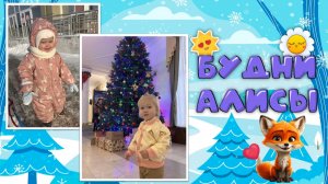 Будни Алисы! Алиса ходила на новогоднее представление, увидела снеговика и елку, катается на санках!