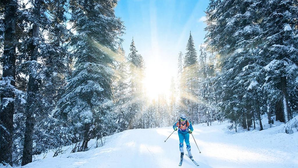 (ч.1)Берёзовая роща(вет.институт)
