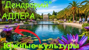 Курортный городок Адлер, Дендрарий, Сочи сегодня, Адлер сегодня,Сочи достопримечательности