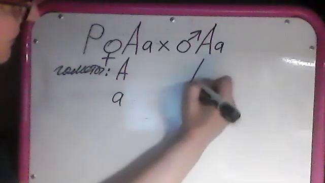 моногибридное скрещивание смотреть онлайн