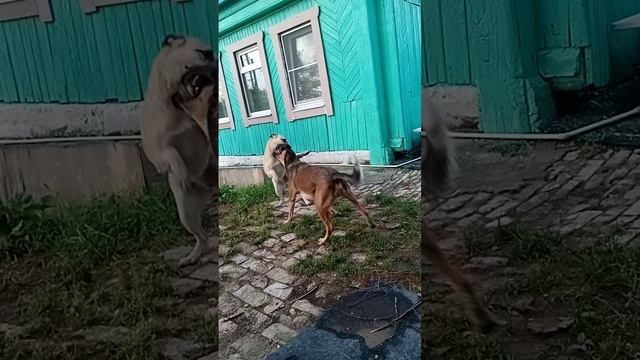 всего по не многу