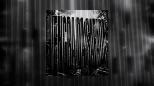 𝙑𝙚𝙣𝙜𝙧𝙖 𝙙𝙖 𝙨𝙖𝙛𝙖𝙙𝙖 𝙛𝙪𝙣𝙠 ( 𝙣𝙚𝙬 𝙛𝙪𝙣𝙠