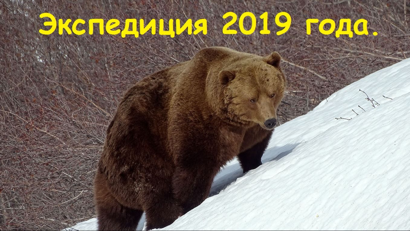 Экспедиция 2019 года. смотреть онлайн