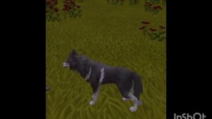 Мини фильм Wildcraft "Дух" 2 сезон 3 серия(финал)