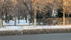 Часть чугунной ограды исчезла из сквера возле Южного рынка.