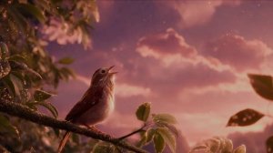 Утро нового дня