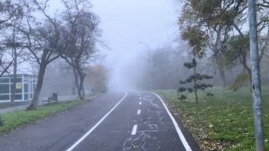 ОДЕССА 21 ДЕКАБРЯ 2025. ЕРМАК И ЗЕ ПРОДОЛЖАЮТ СПАТЬ ВМЕСТЕ