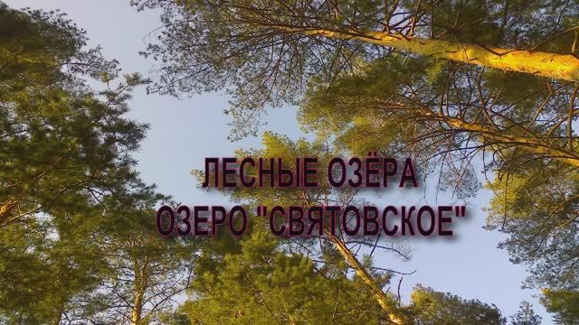 Лесное озеро Святовское