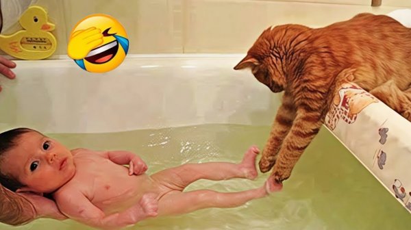 Приколы с животными🤗 Смешные видео про животных 🤗СМЕШНОЕ ВИДЕО😍 Наши любимые смешные животные